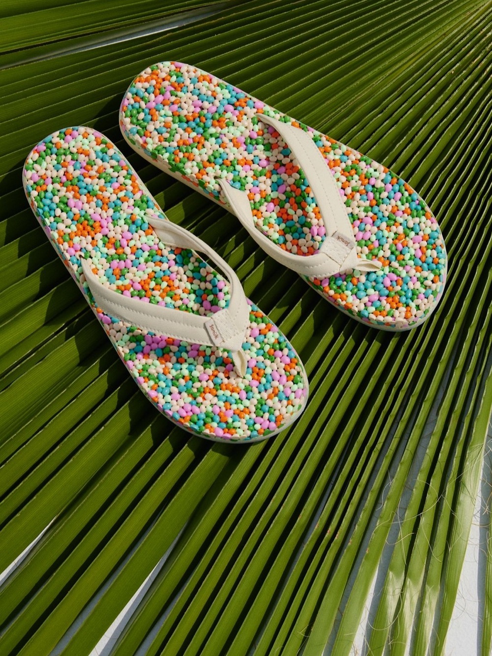 Free people Sanuk × free-est Bubblecush Flip Flops
